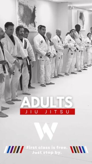 Brazilian Jiu-Jitsu Beginning Side Submissions DVD Wander Braga – I&I  Sports Supply Co., Inc.